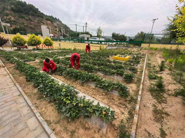 延安環保公司2.jpg